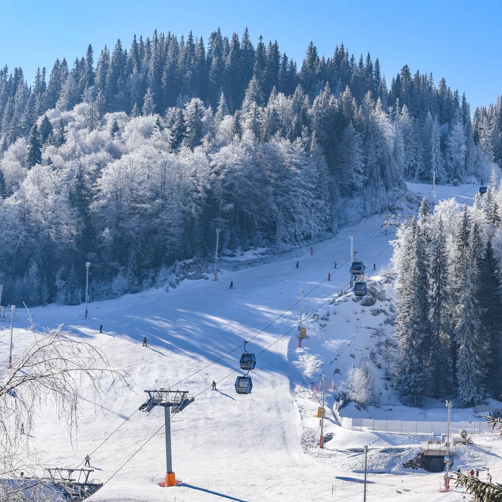 Jahorina