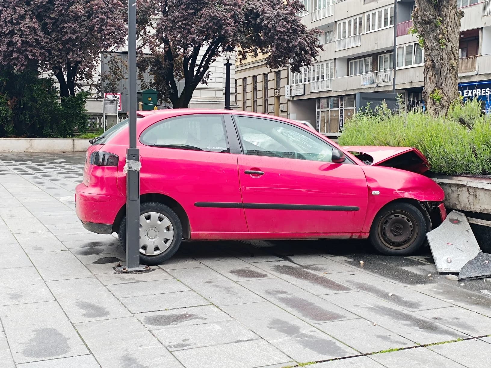 FOTO: Damir Hodžić