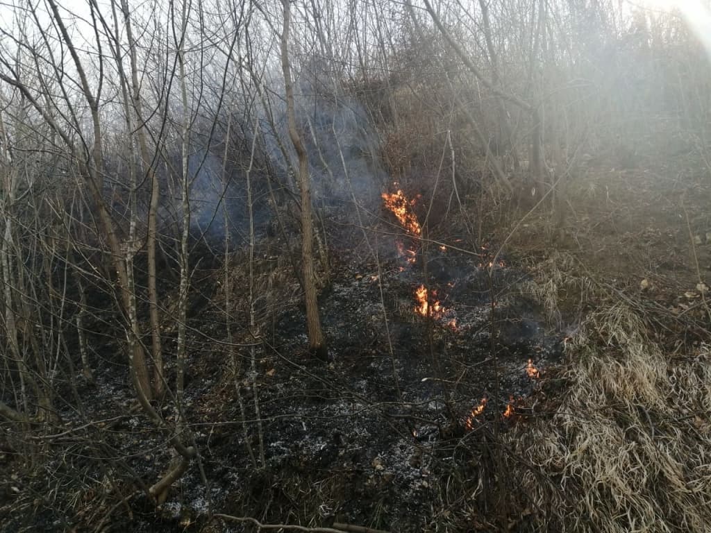 požar kozija ćuprija.jpg