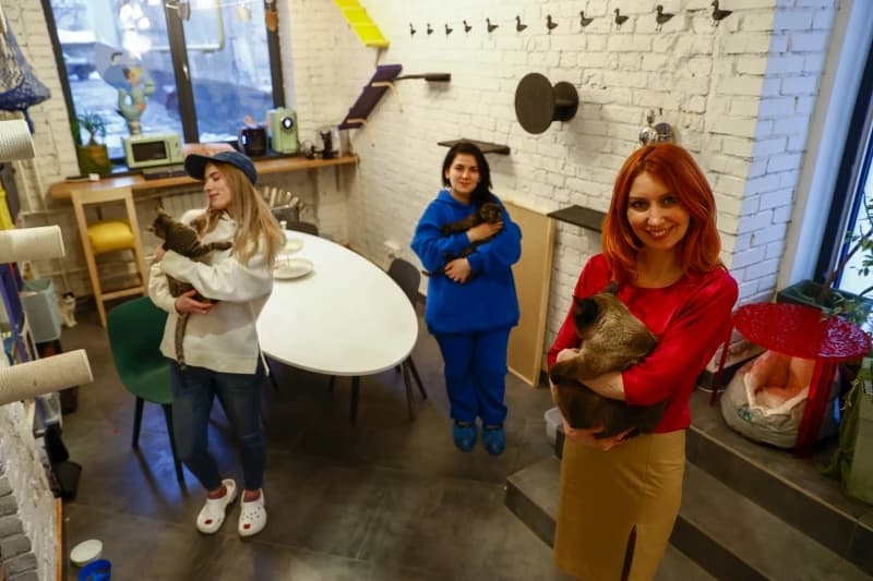 U Moskvi otvoreni "uredi za mačke"