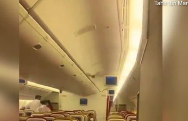 Šišmiš u avionu
