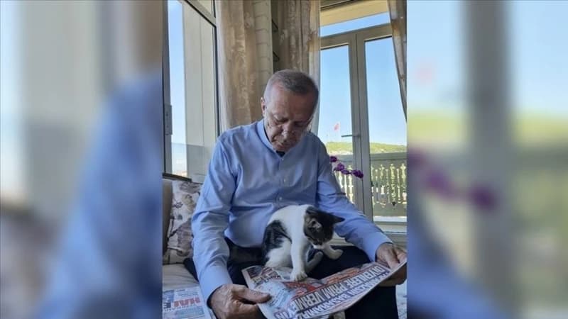 Erdogan na društvenim mrežama podijelio fotografije sa mačkom svoje unuke