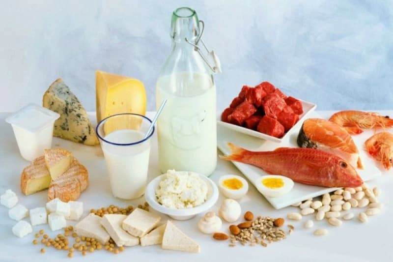 Proteinska ishrana 