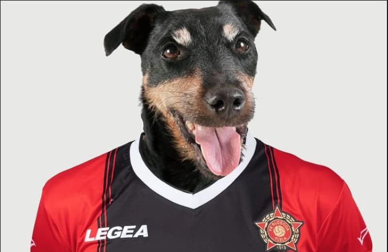 "Pojačanje" na Tušnju: Dognaldo potpisao za Slobodu