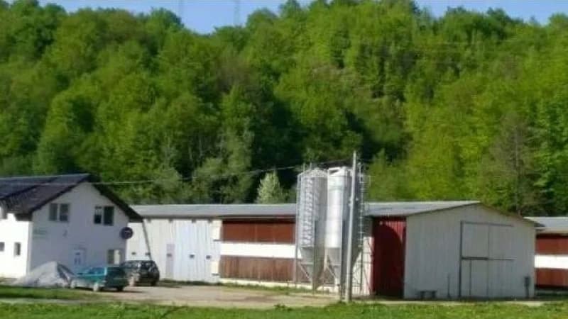 Srebrenica, Farma pilića