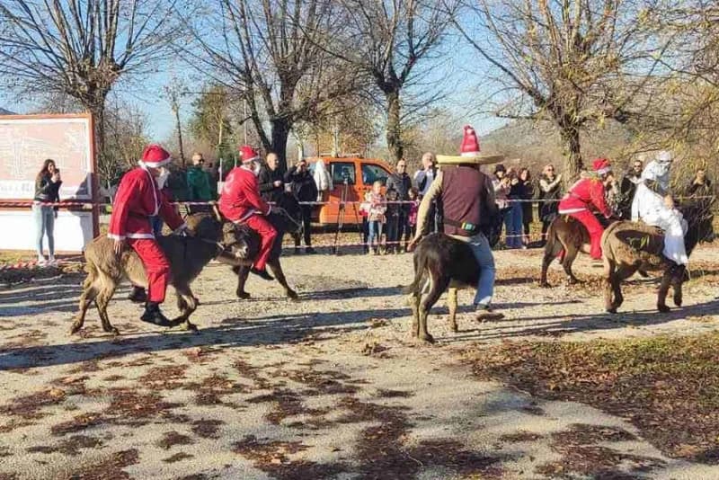 Utrka magaraca, Čapljina