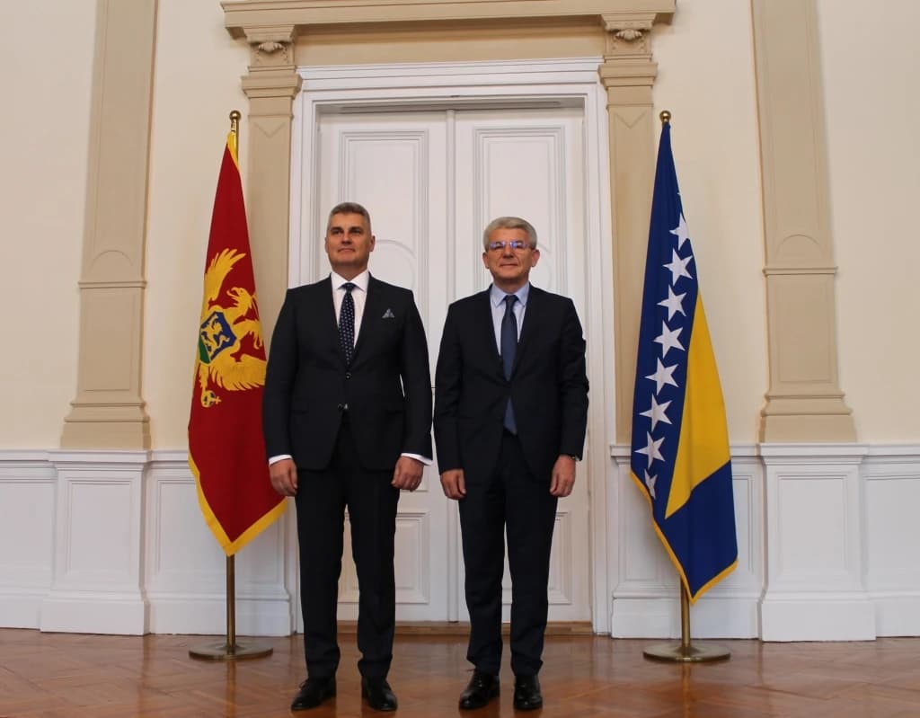 Džaferović primio predsjednika Skupštine Crne Gore Ivana Brajovića