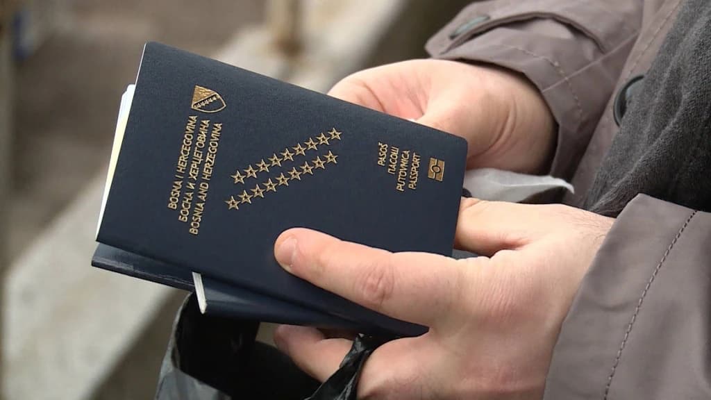 U prošloj godini BiH izgubila skoro 2.200 državljana, a primila njih 12