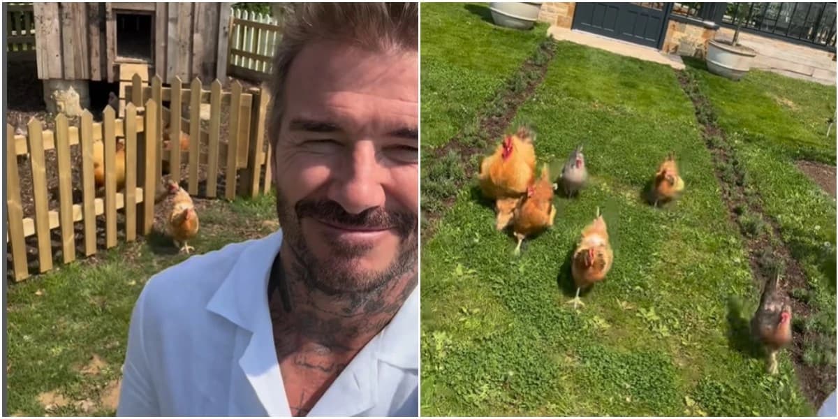 David Beckham
