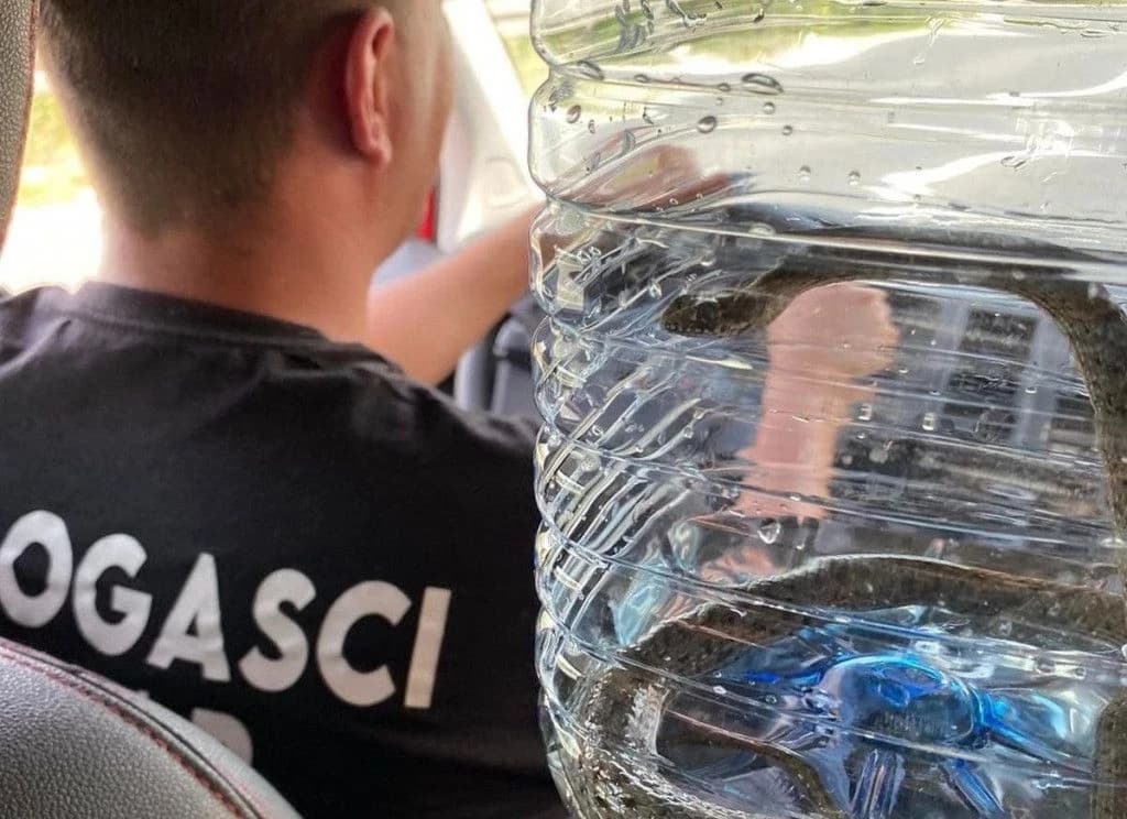 Mostarski vatrogasci s jedne od posljednjih intervencija