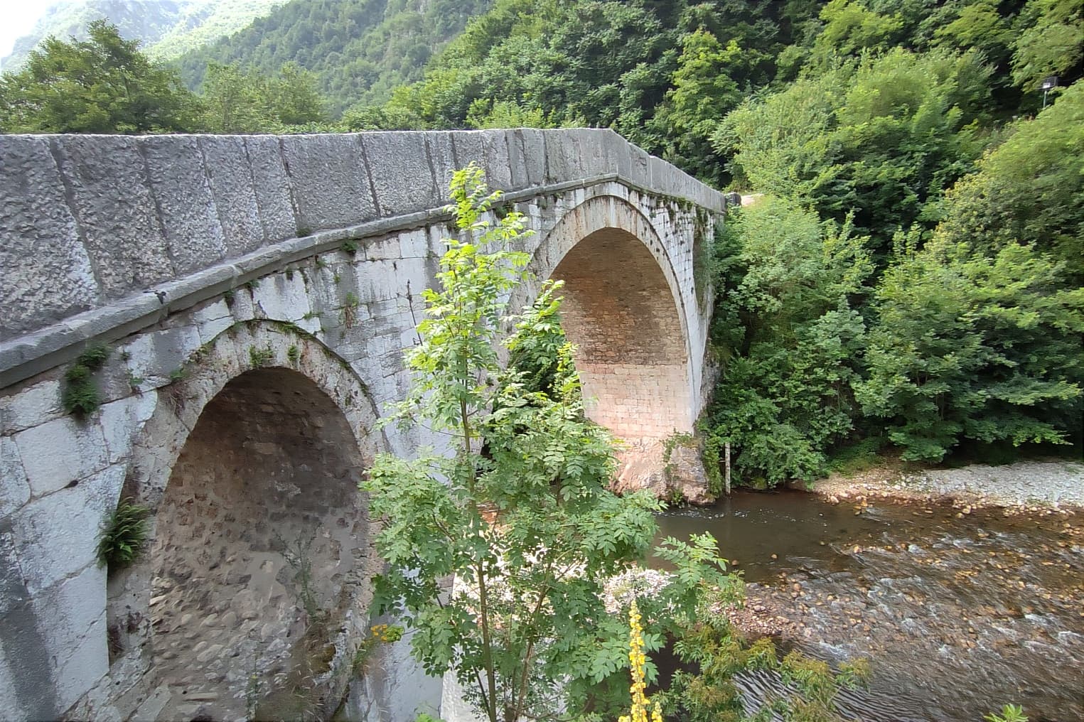 Kozija Čuprija