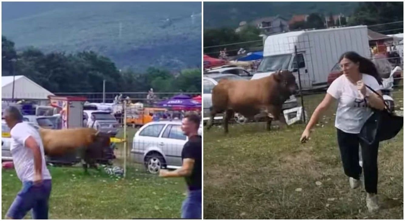 U prvoj borbi bikova dogodio se incident