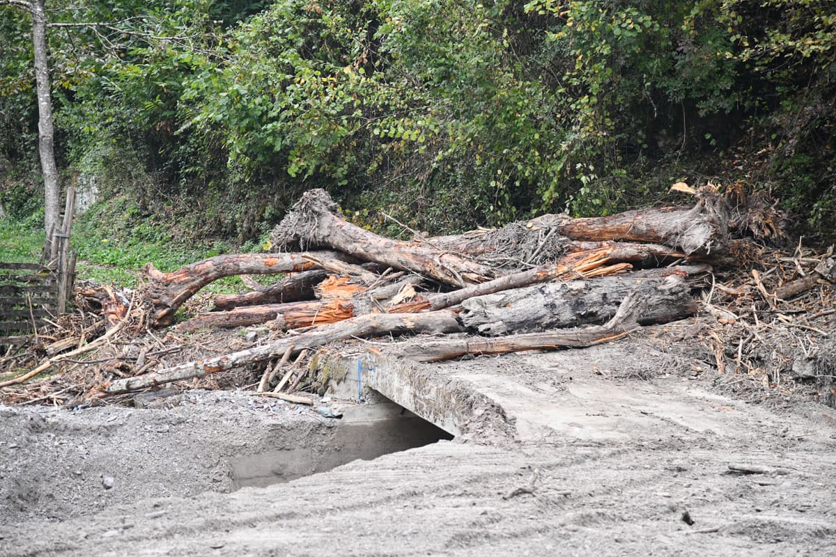 Poplave, Saonica