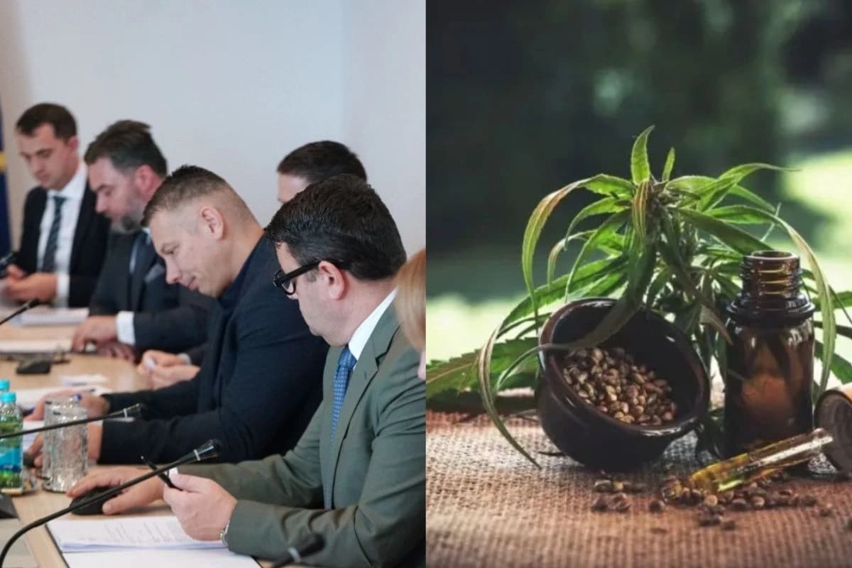 Vijeće ministara BiH još bez materijala o legalizaciji kanabisa