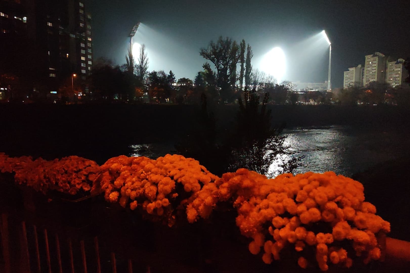 Atmosfera uoči utakmice BiH Holandija