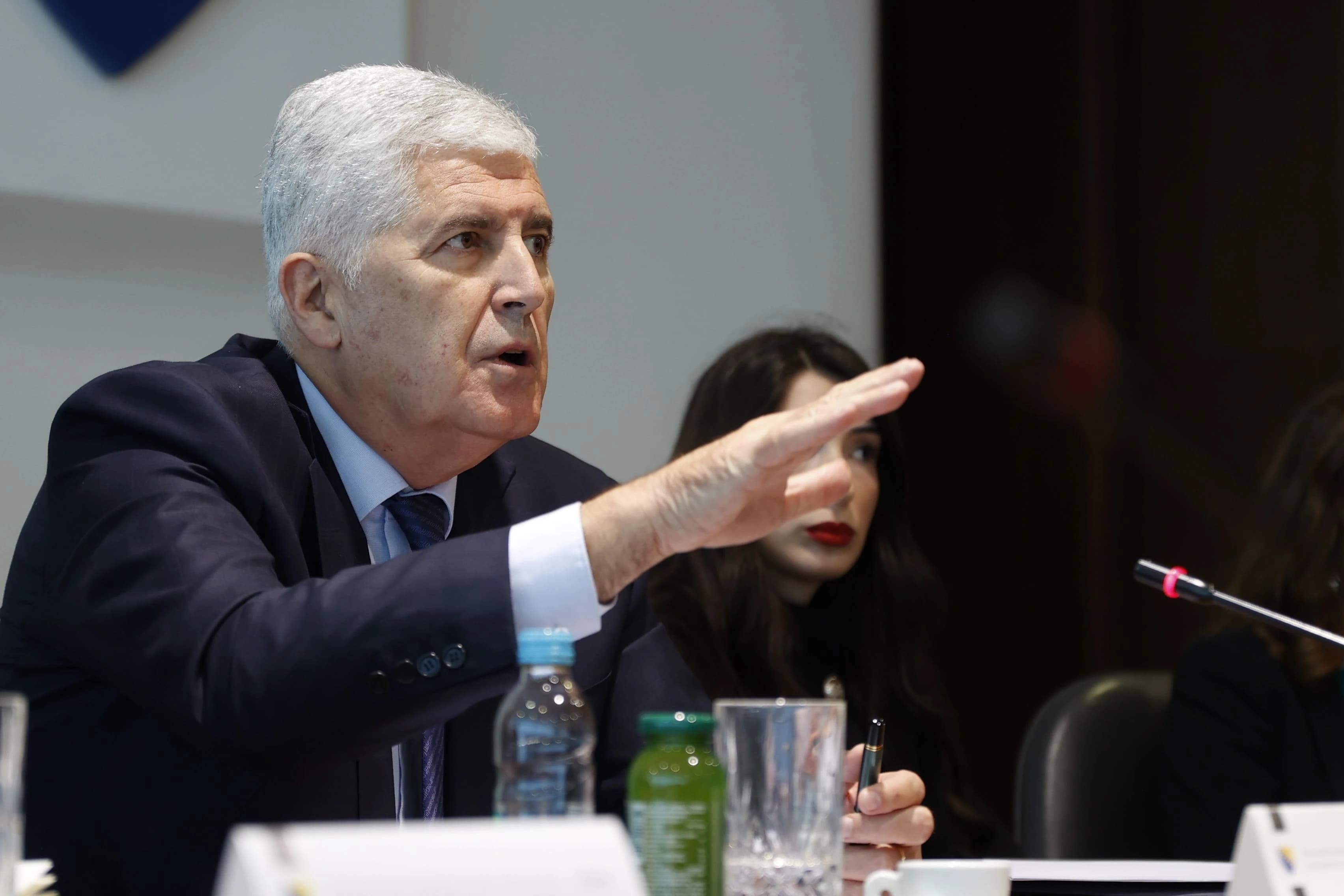 Predsjednik HDZ-a Dragan Čović