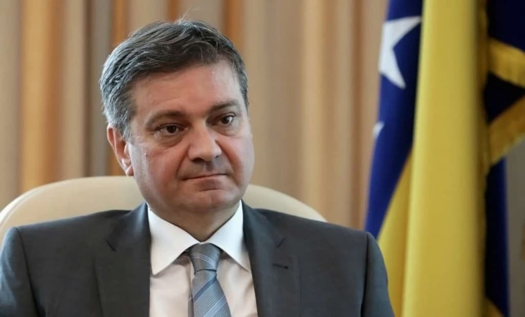 Denis Zvizdić