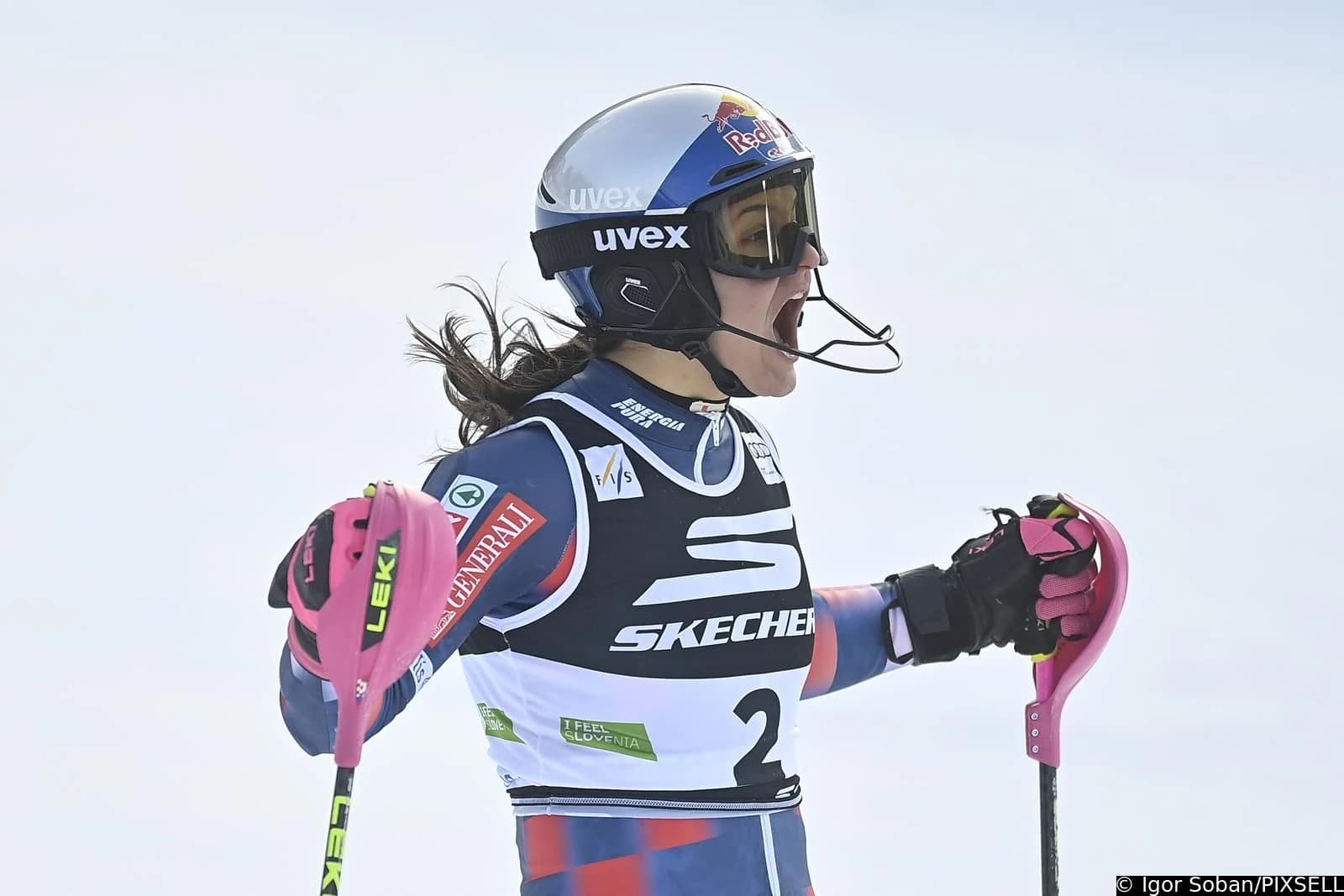 Zrinka Ljutić