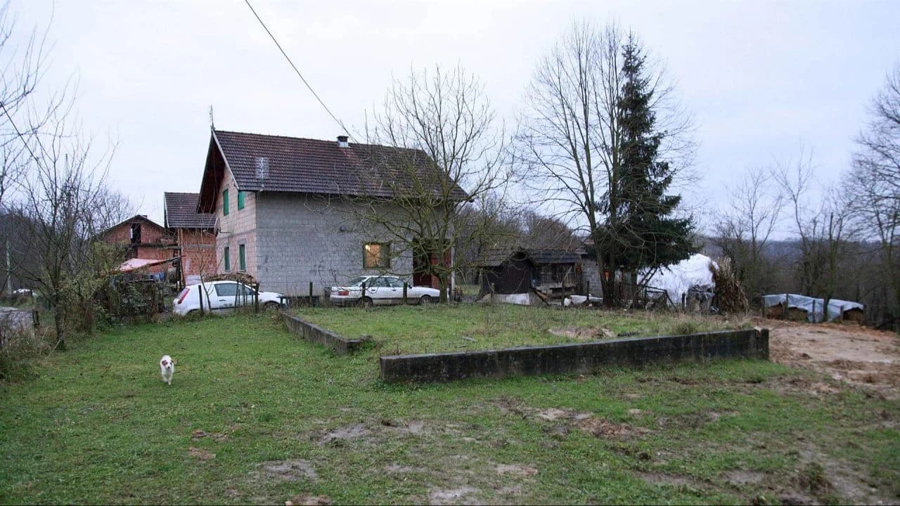 Zecovi