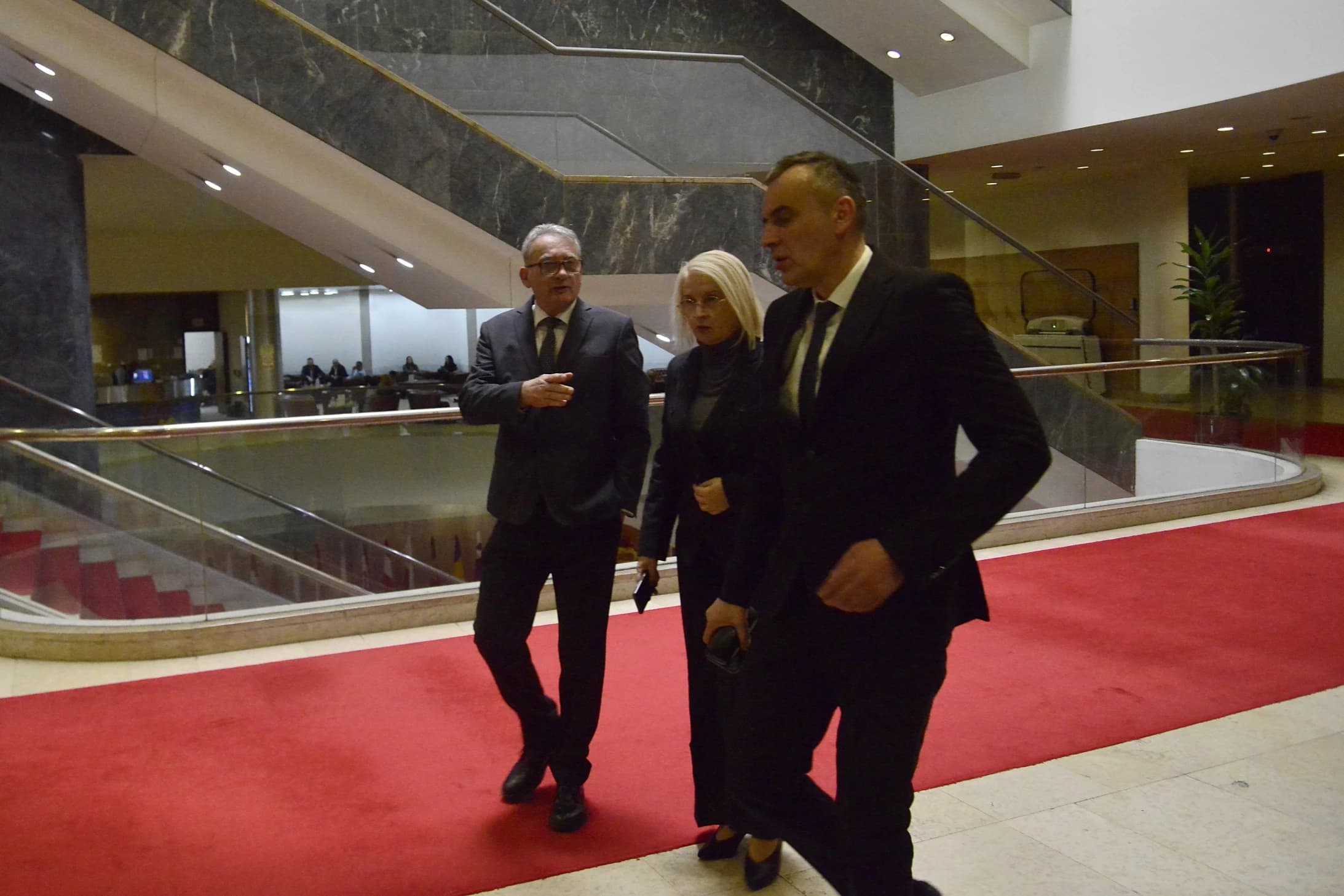 Darko Babalj, Mira Pekić i Mladen Bosić