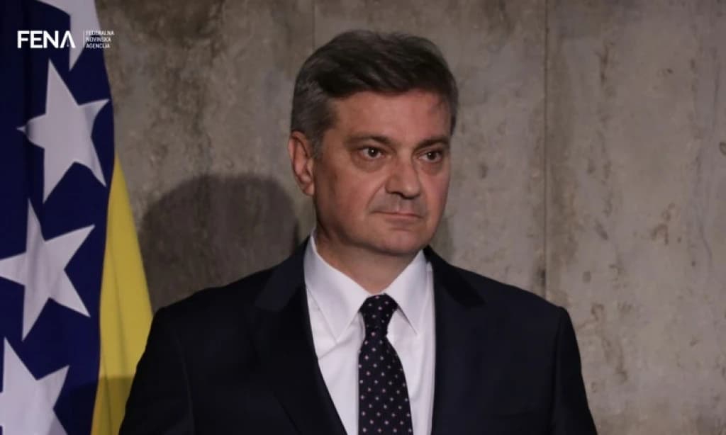 Denis Zvizdić