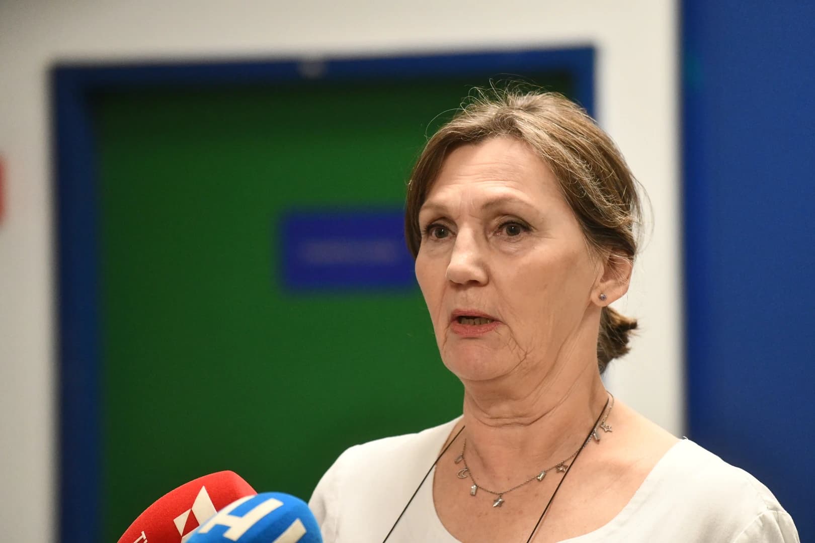 Prof. dr. Hajrija Maksić