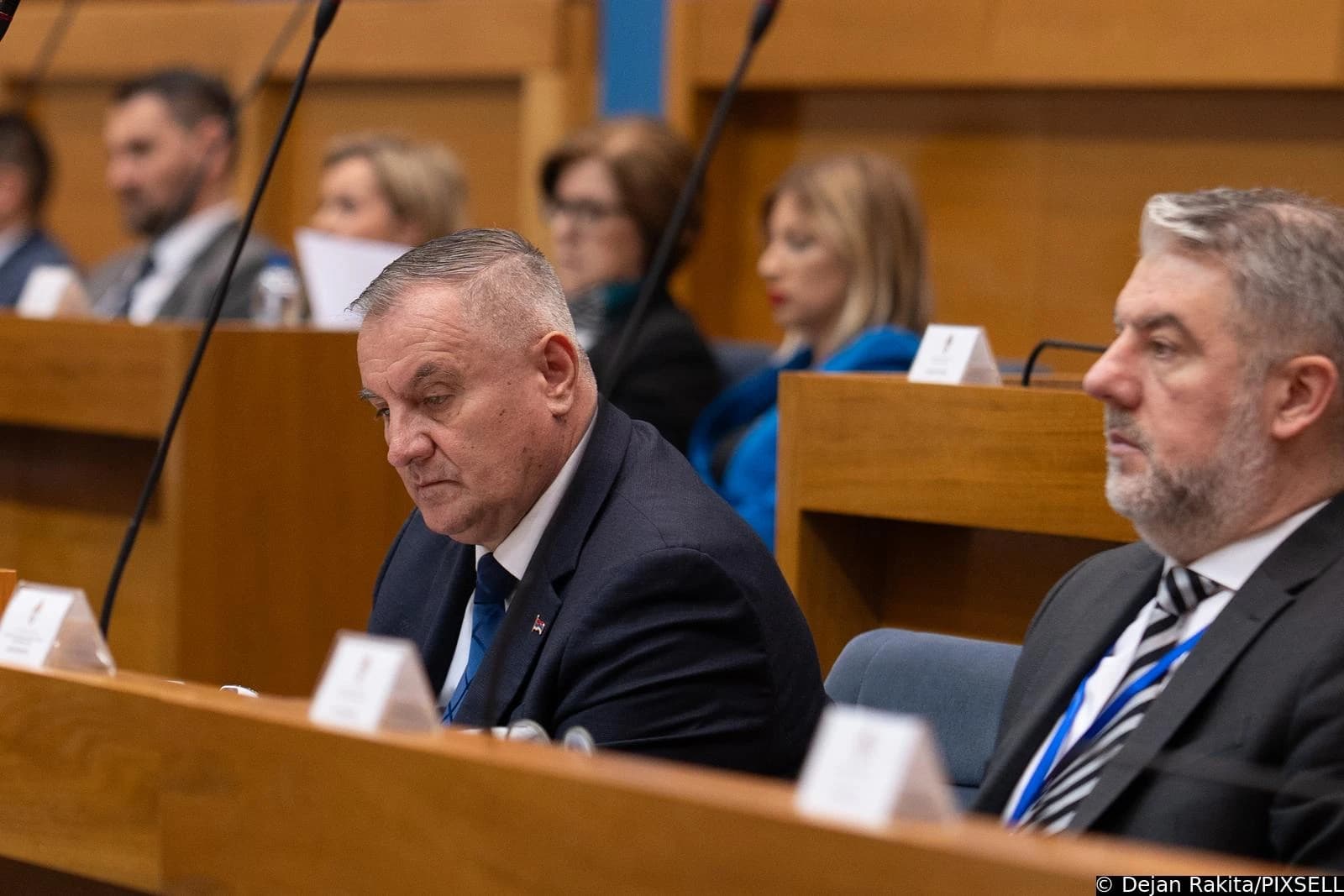 Radovan Višković