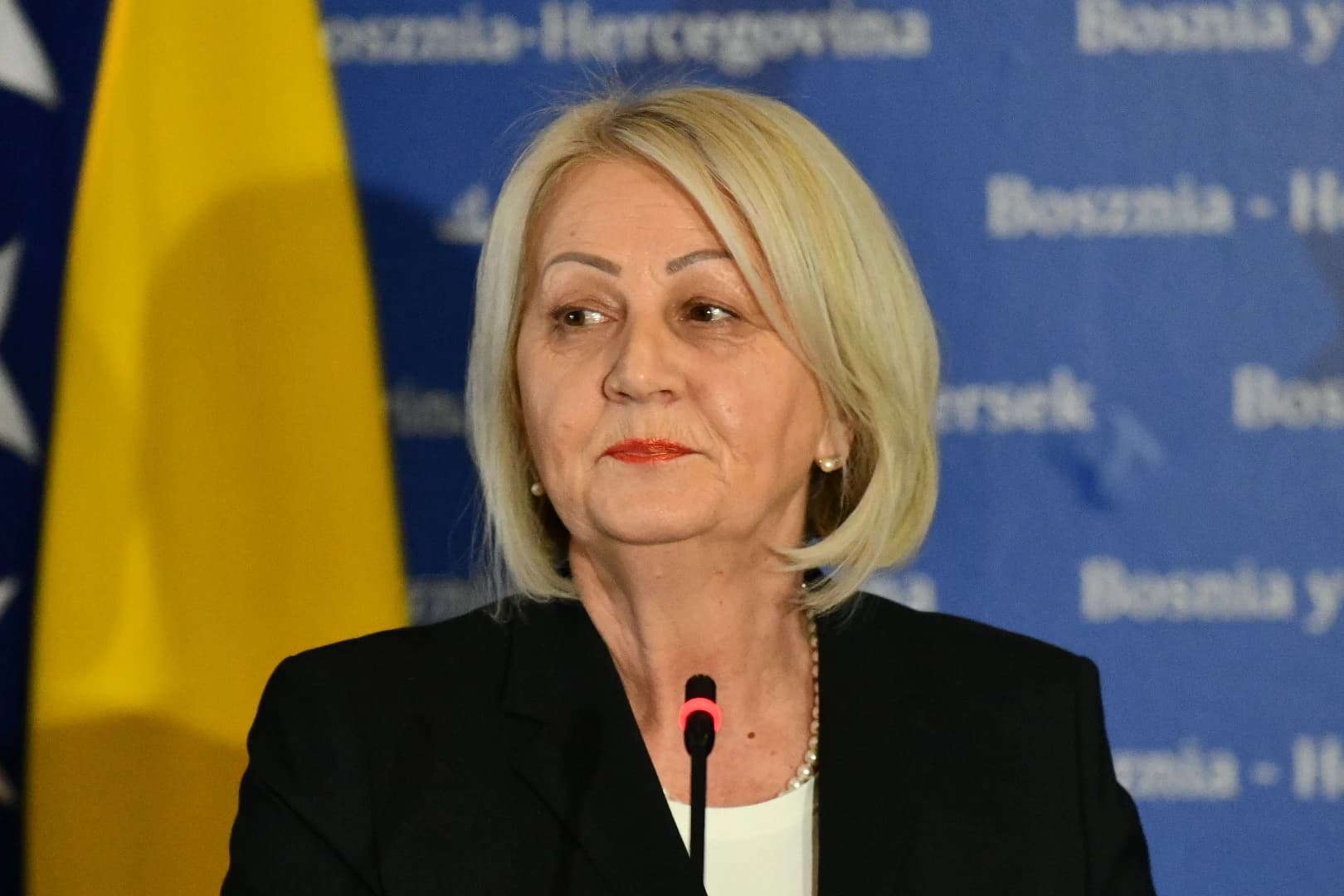 Borjana Krišto