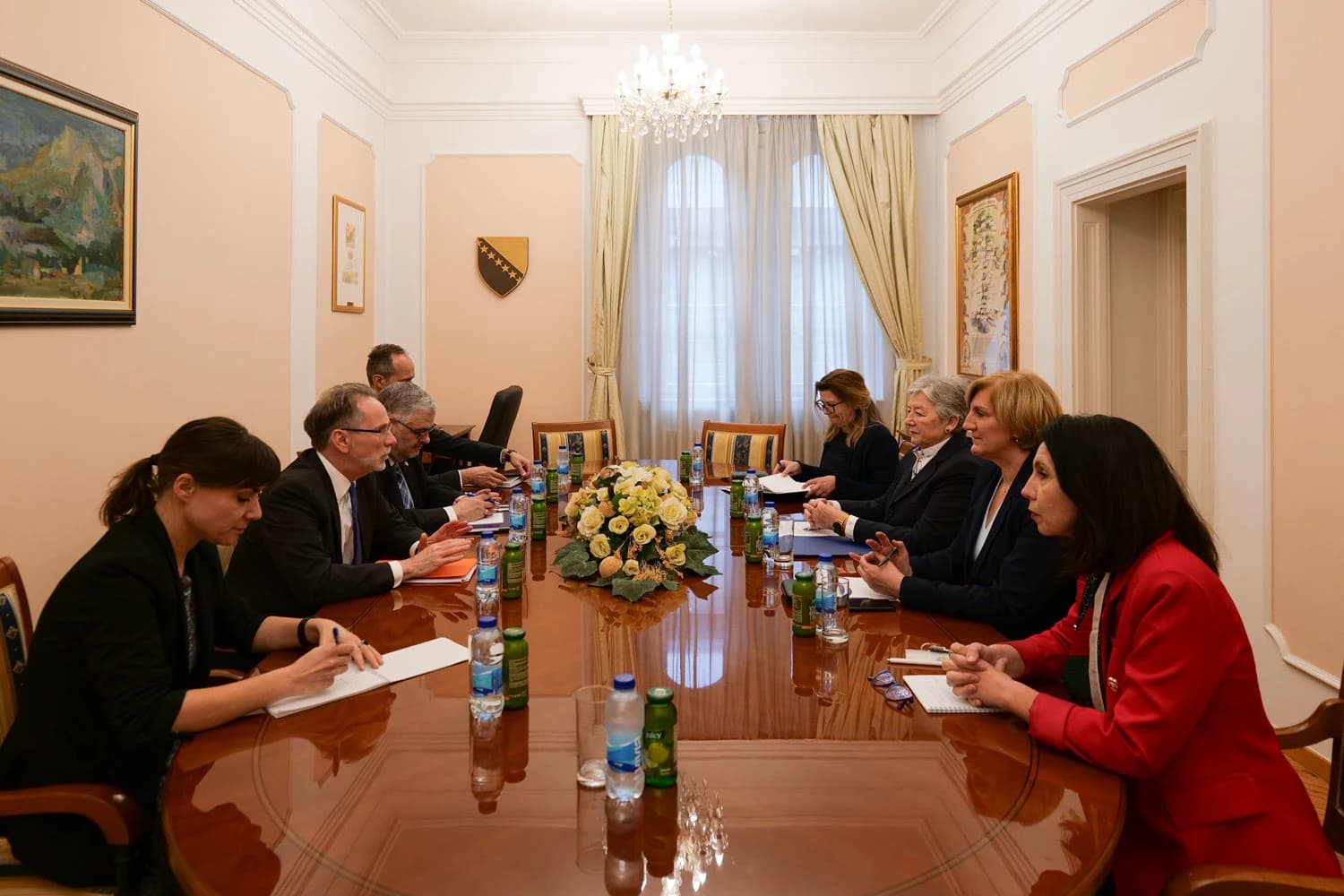 John Clint Williamson u Ustavnom sudu BiH