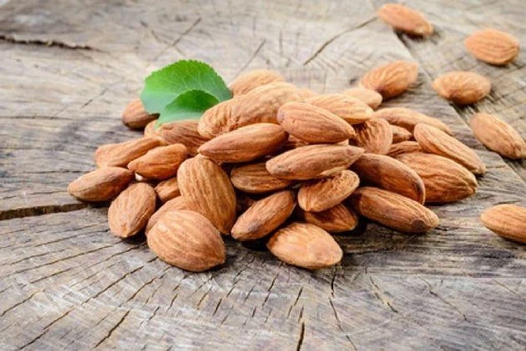 Bademi su izvor proteina