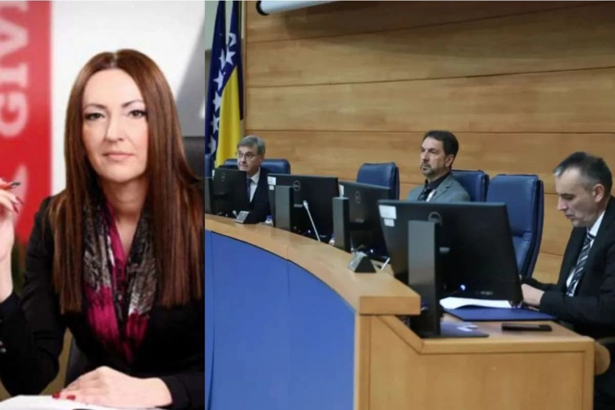 Radmila Bojanić, kolegij Zastupničkog doma BiH
