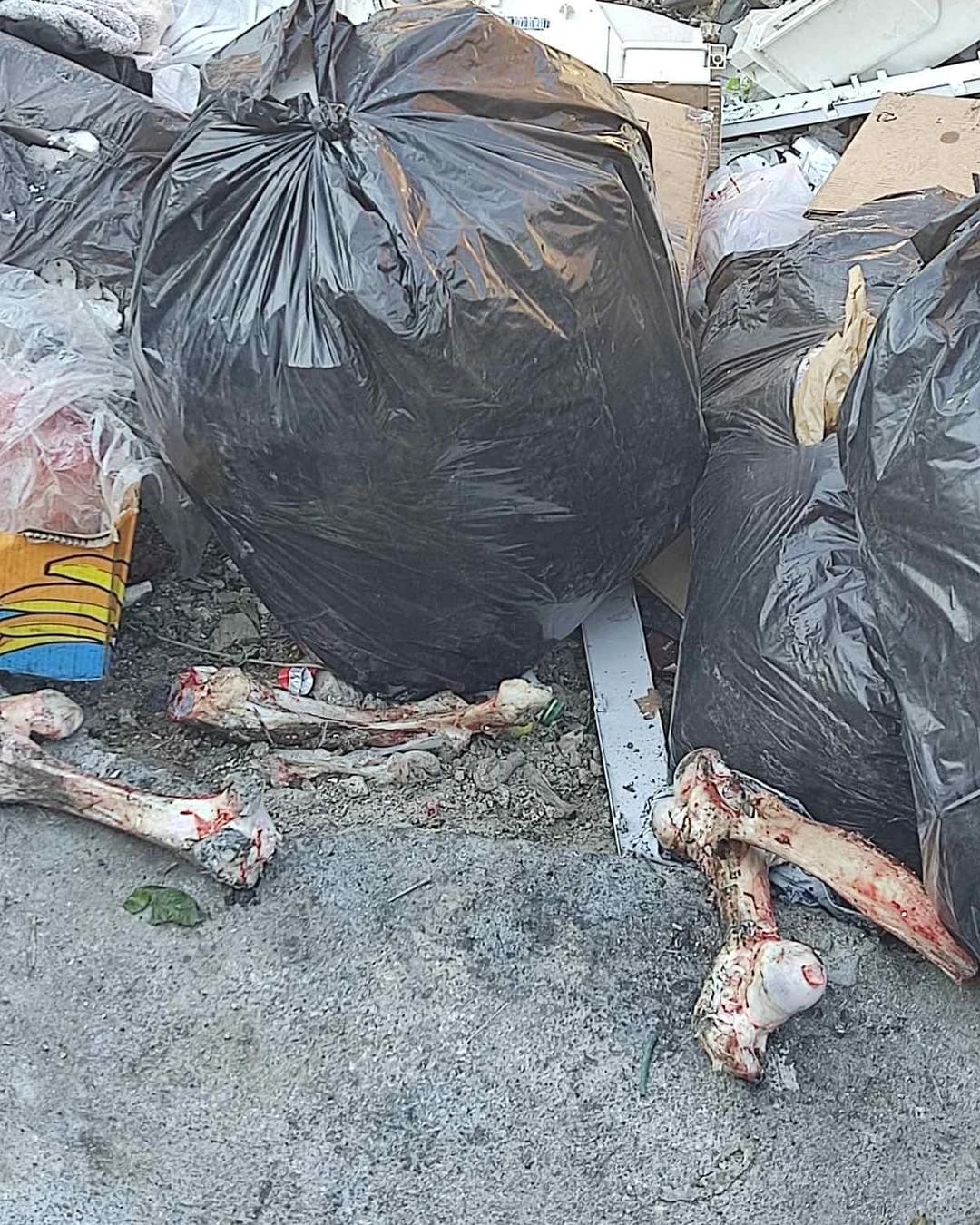 Ozbiljna prijetnja zdravlju i higijeni