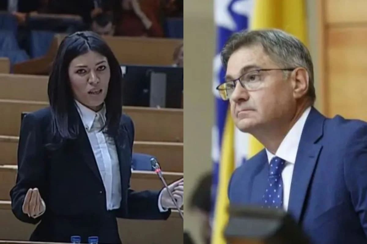 Sanja Vulić i Denis Zvizdić