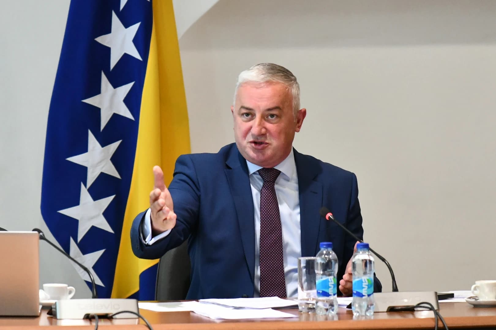 Branislav Borenović