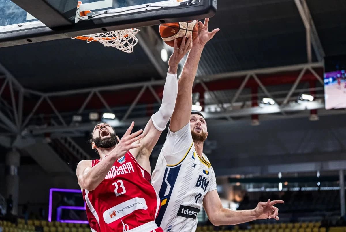 Nurkić protiv Gruzije