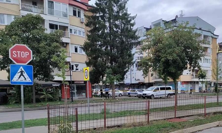 S uviđaja