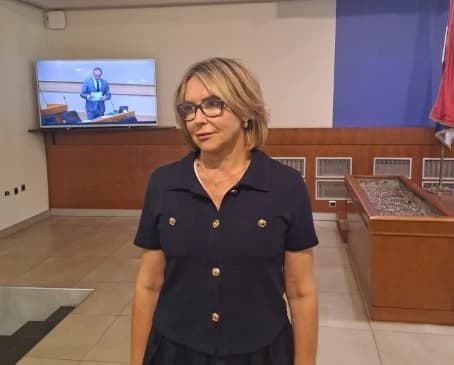 Ana Trišić Babić