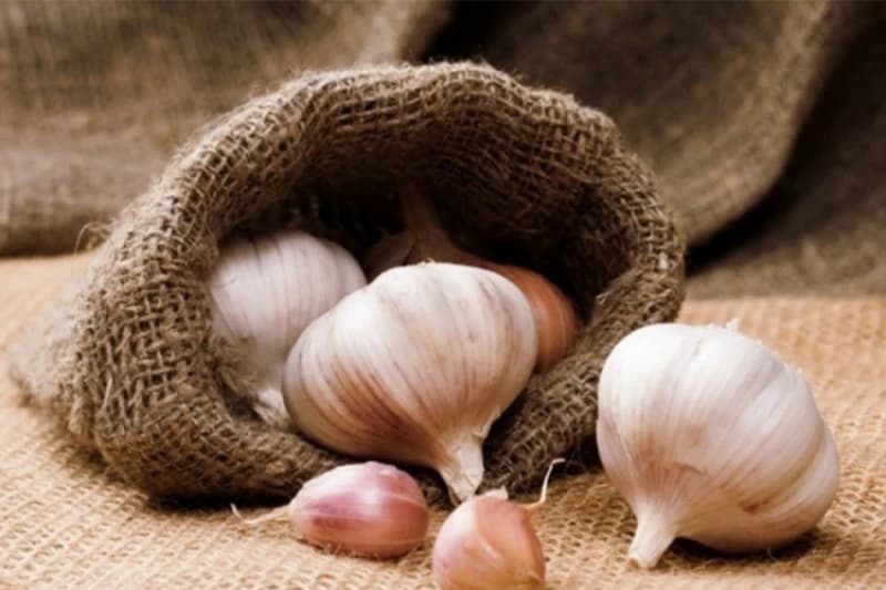 Zdrav je, ali nije za svakoga