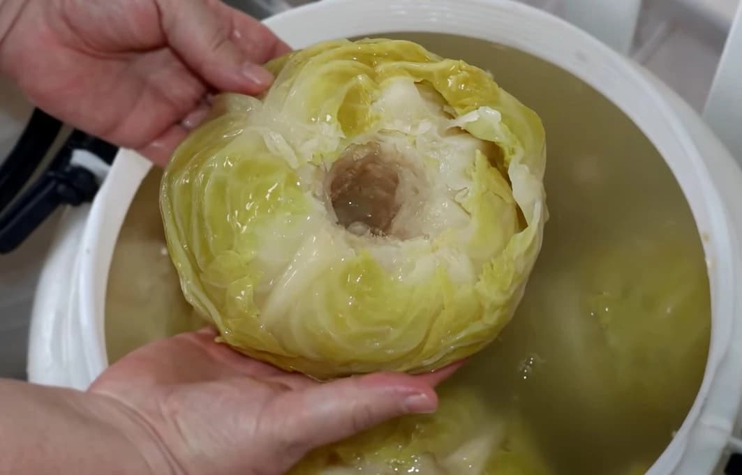 Sve dobrobiti kiselog kupusa