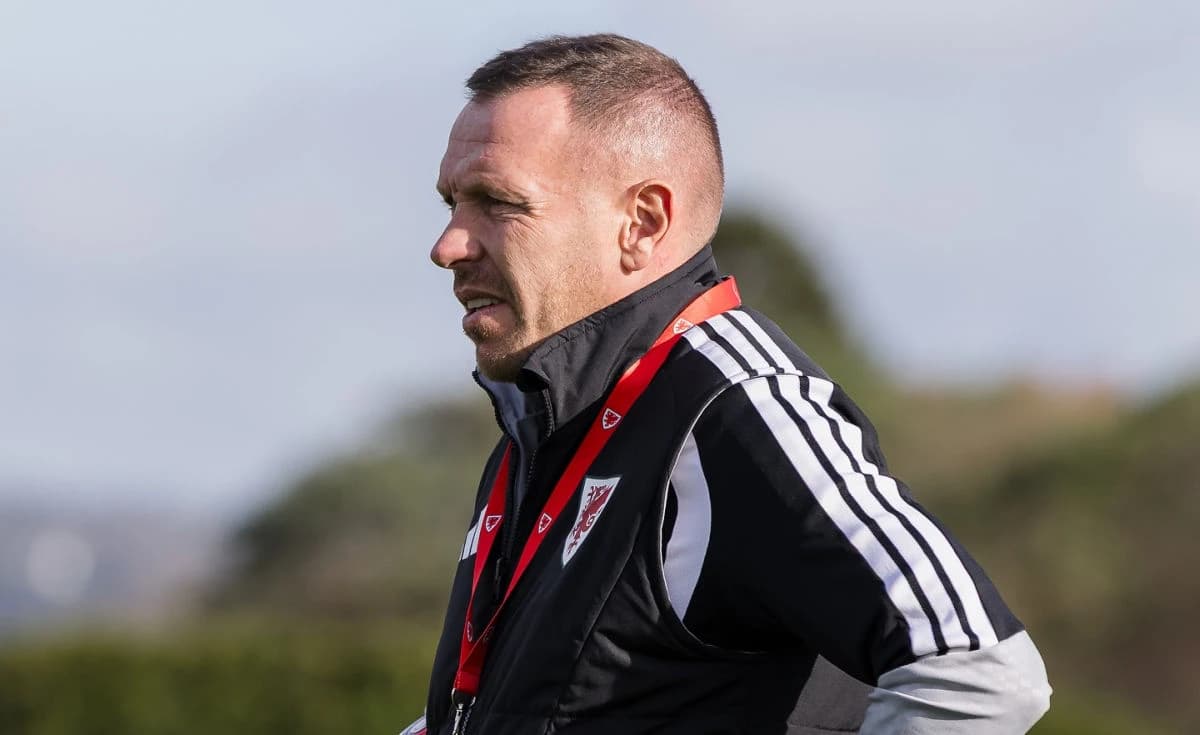 Craig Bellamy pohvalio reprezentaciju Bosne i Hercegovine