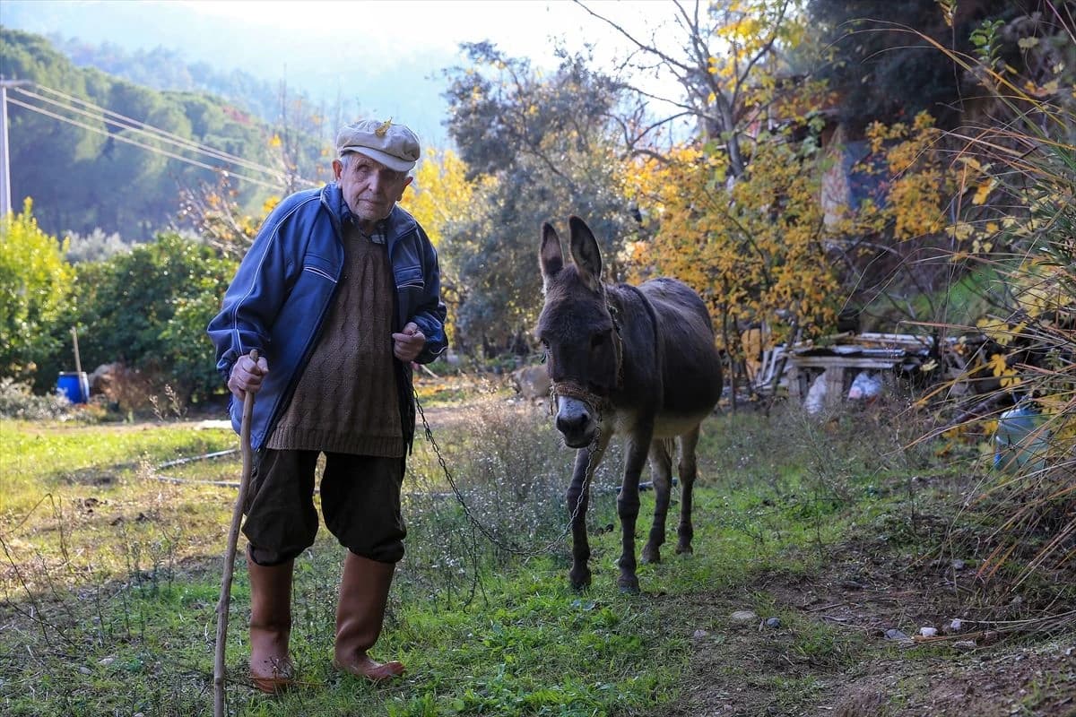 Pet puta padao sa litice čuvajući koze: Slijepi djed Raif Kurt 24 godine kreće se zahvaljujući svom magarcu