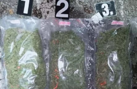 Zapljena droge i municije u Velikoj Kladuši
