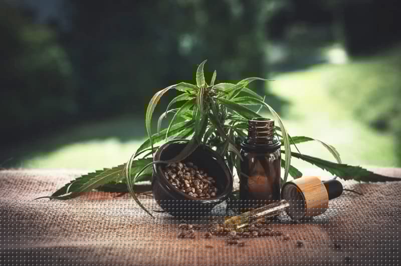 Medicinska marihuana ima malo koristi, ne pomaže kod akutne boli i nesanice, a nosi ozbiljne rizike