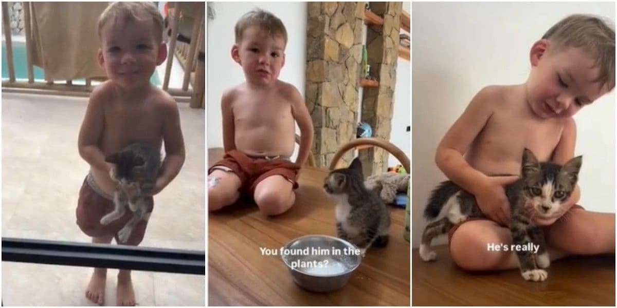 Dječak u Indoneziji pronašao mačića i donio ga mami, video je viralan