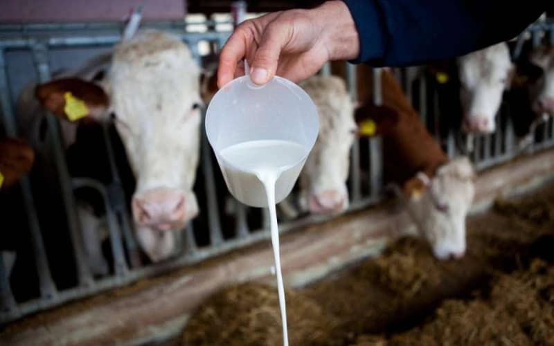 Mljekarska industrija BiH traži hitno razdvajanje biljnih i mliječnih proizvoda na tržištu