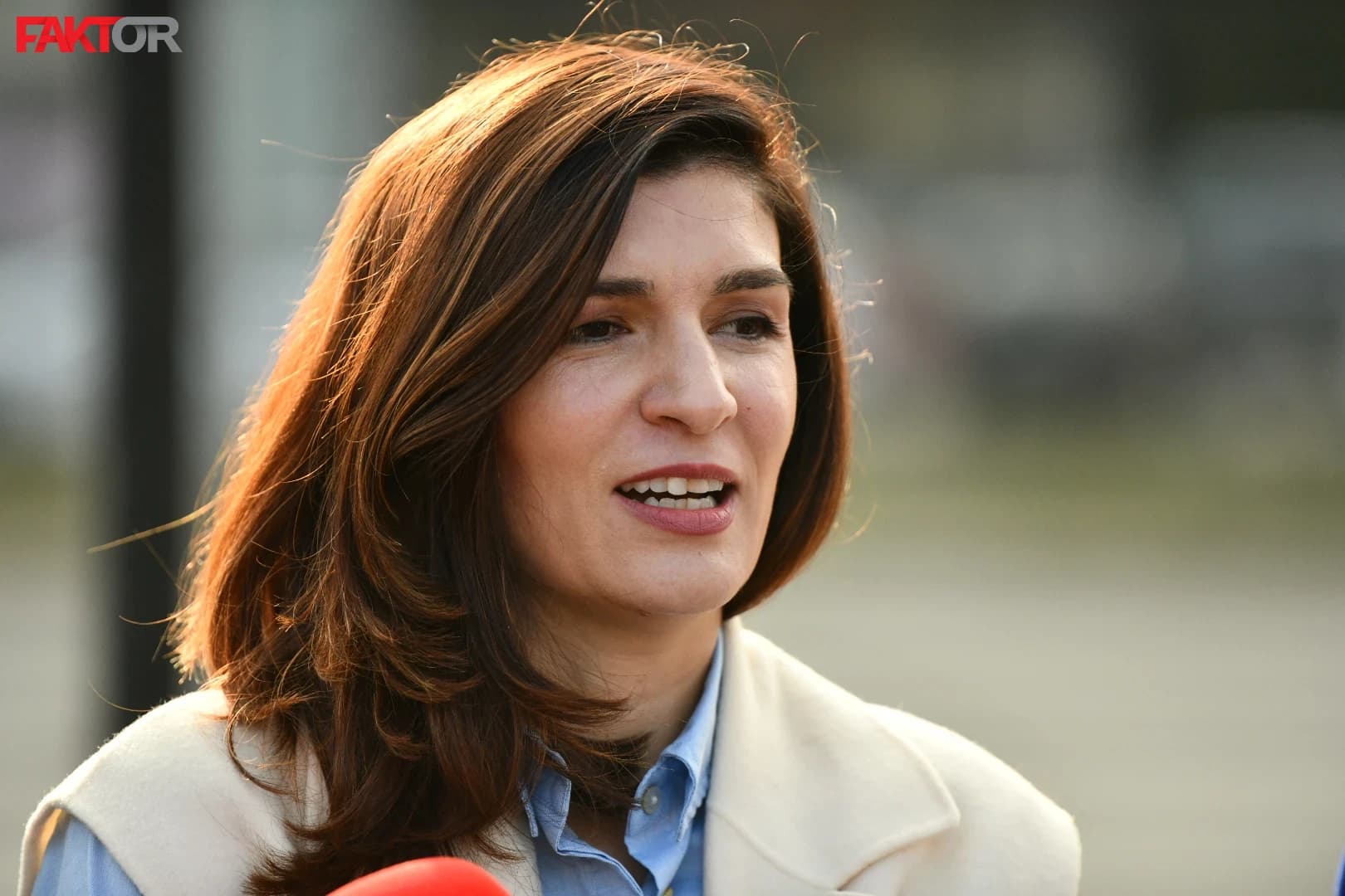 Sabina Ćudić