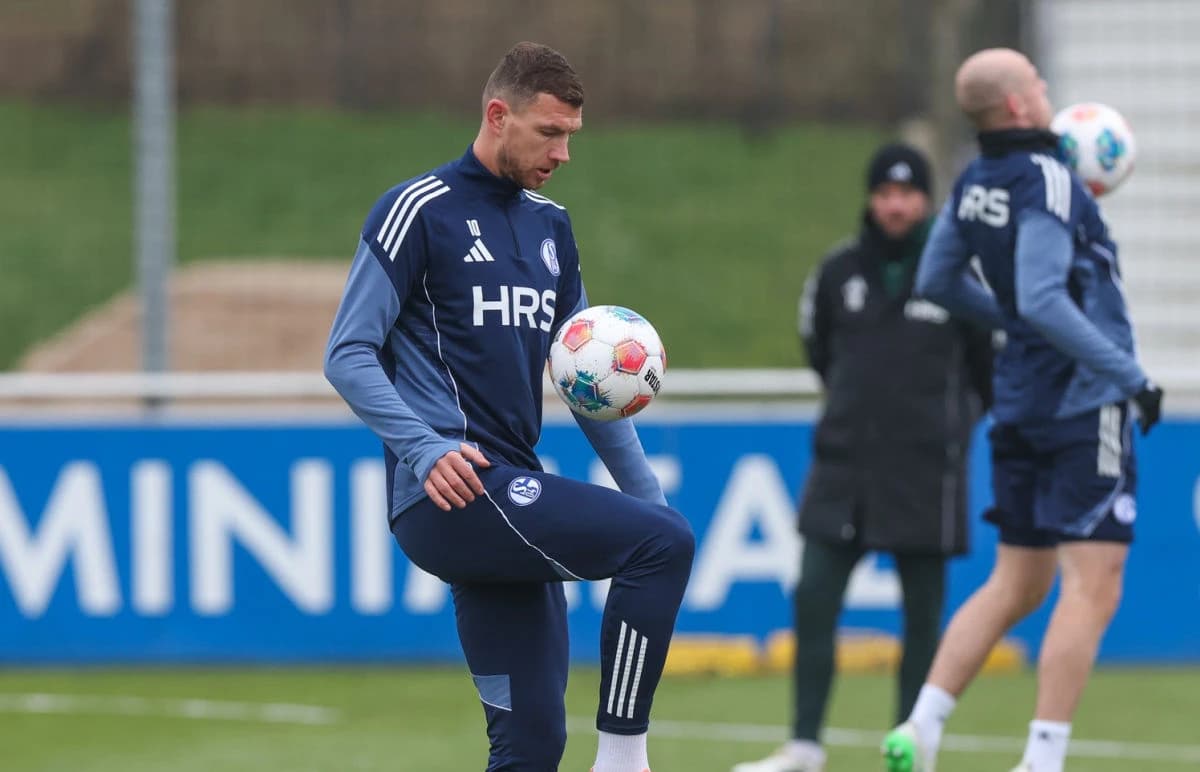 "Ovo što radi Schalke 04 s Edinom Džekom je kao šifra za varanje"