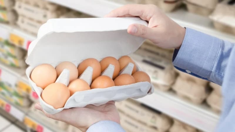 BiH sve više izvozi jaja: Evo gdje ih najviše prodaje