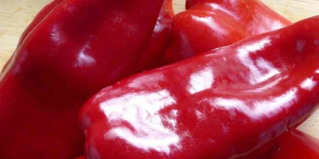 Roga paprika 