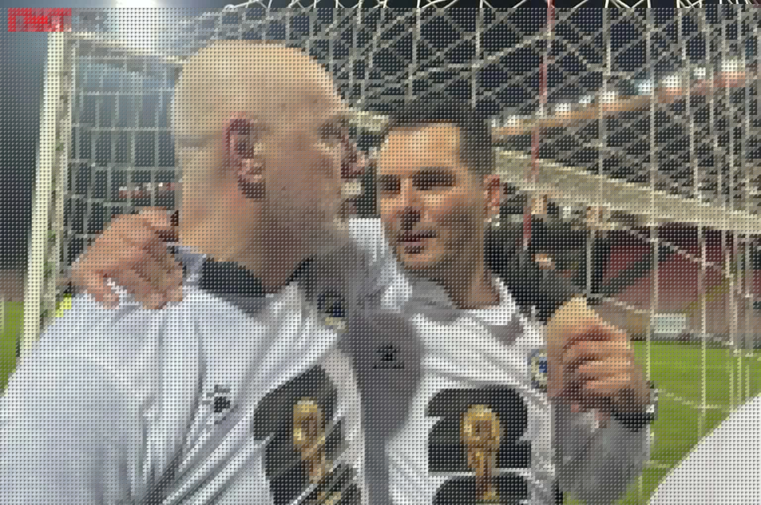 Barbarez i Spahić